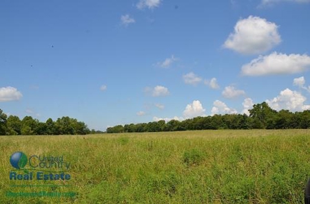 Miller County Land Iauction - image 18