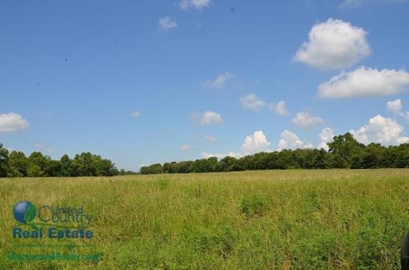 Miller County Land Iauction - image 19