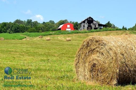 Miller County Land Iauction - image 31