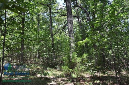 Miller County Land Iauction - image 41