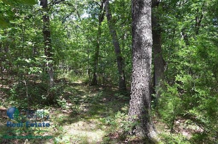 Miller County Land Iauction - image 47