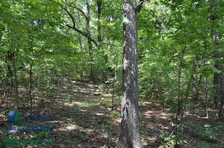 Miller County Land Iauction - image 42