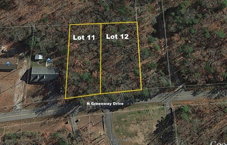 Online Only Auction Lot 11 Trinty Alabama - image 5