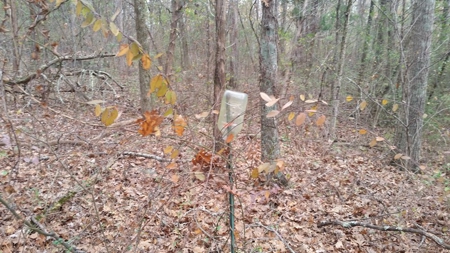Online Only Auction Lot 11 Trinty Alabama - image 13