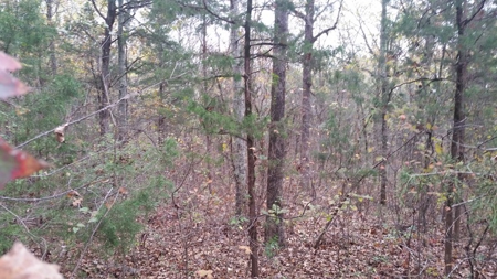 Online Only Auction Lot 12 in Trinity, AL - image 8