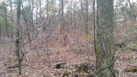 Online Only Auction Lot 12 in Trinity, AL - image 9