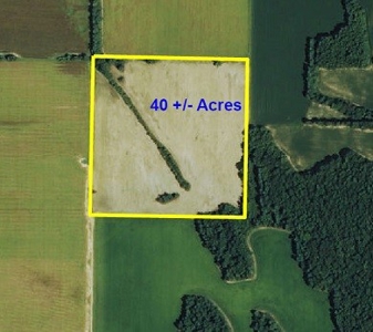 Farm Land To Be Auctioned Arkansas 40 Acres - image 1
