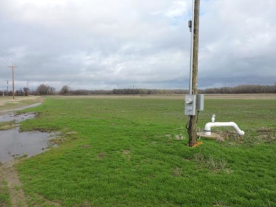 Farm Land To Be Auctioned Arkansas 40 Acres - image 2