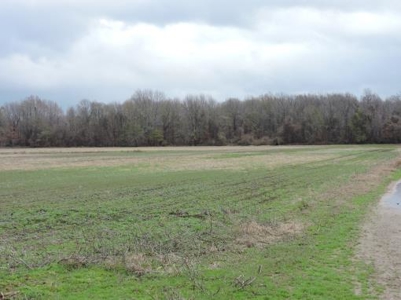 Farm Land To Be Auctioned Arkansas 40 Acres - image 4