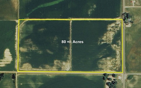 Farm Land Auction Phillips County Arkansas - image 1