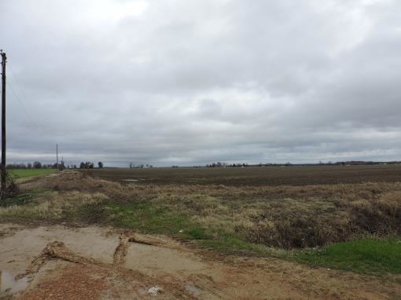 Farm Land Auction Phillips County Arkansas - image 2