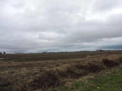Farm Land Auction Phillips County Arkansas - image 4