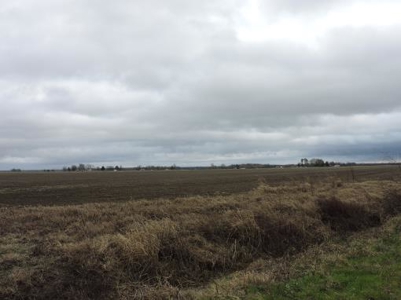 Farm Land Auction Phillips County Arkansas - image 5
