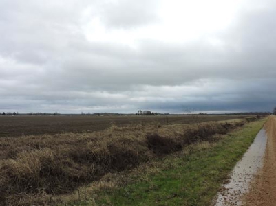 Farm Land Auction Phillips County Arkansas - image 3