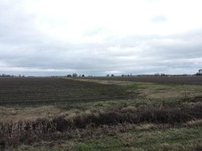 Farm Land Auction Phillips County Arkansas - image 6