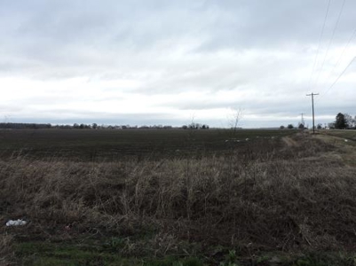Farm Land Auction Phillips County Arkansas - image 7