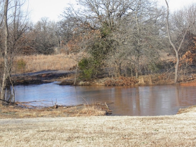 No Reserve Auction - image 1