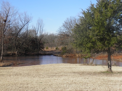 No Reserve Auction - image 2