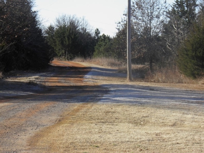 No Reserve Auction - image 3