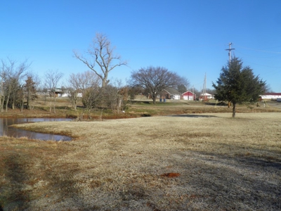 No Reserve Auction - image 5