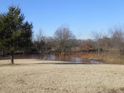 No Reserve Auction - image 6