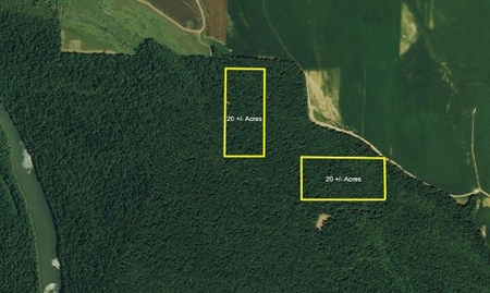 Arkansas Land Adjoining White River Refuge - image 1