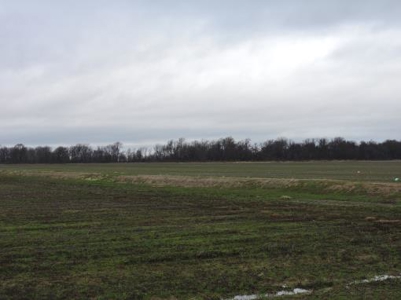 Bankruptcy Farm Land Auction Lee County Arkansas - image 2