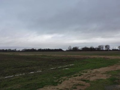 Bankruptcy Farm Land Auction Lee County Arkansas - image 3