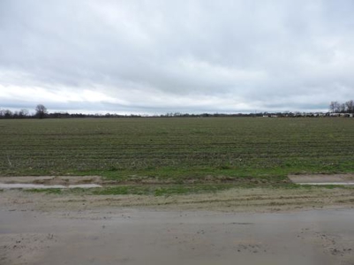 Farm Land Bankruptcy Auction Lee County Arkansas - image 4