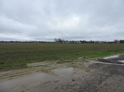 Farm Land Bankruptcy Auction Lee County Arkansas - image 2