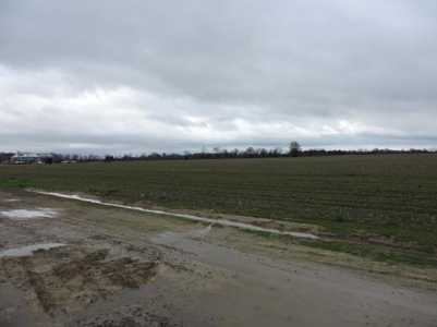 Farm Land Bankruptcy Auction Lee County Arkansas - image 3