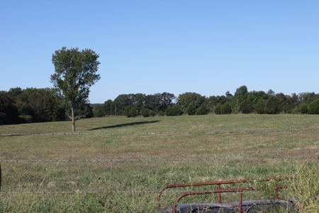 Farm Land Auction in Montgomery County MO - image 4