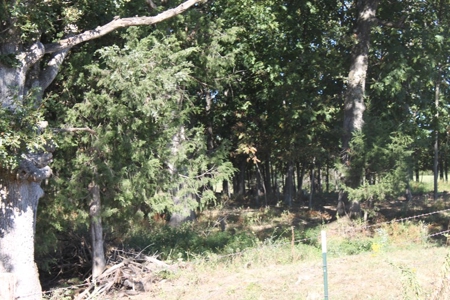 Farm Land Auction in Montgomery County MO - image 7