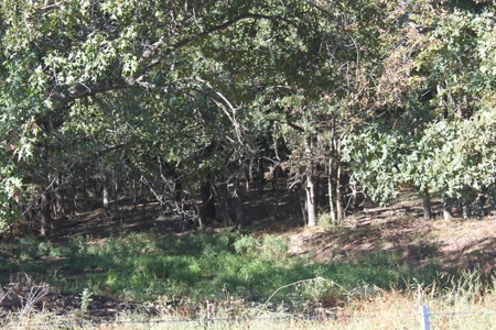 Farm Land Auction in Montgomery County MO - image 18