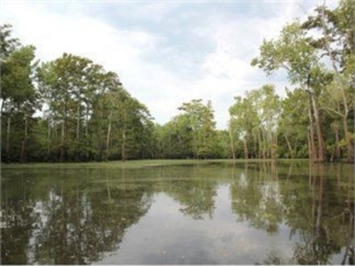 Upper Maddox Bay Lot To Be Auctioned Arkansas - image 1