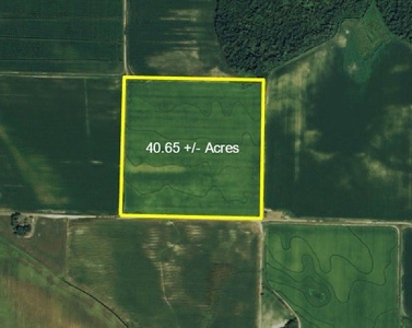 Bankruptcy Farm Land Auction Monroe County Ar - image 1