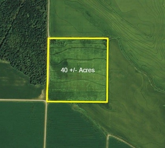 Farm Land Auction Pine City Arkansas Monroe County - image 1