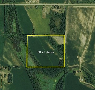 Land To Be Auctioned Holly Grove Monroe County Ar - image 1