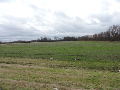 Bankruptcy Land Auction Monroe County Arkansas - image 2