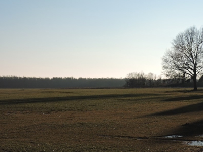 Farmland Northeast Arkansas Jonesboro - image 1