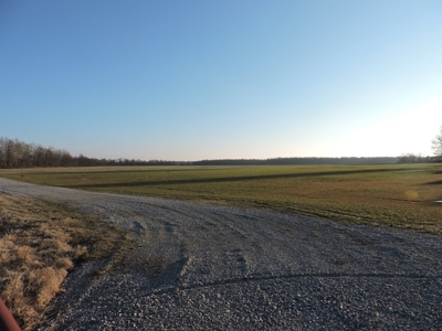 Farmland Northeast Arkansas Jonesboro - image 2