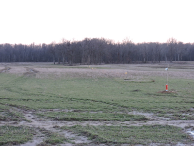 Farmland Northeast Arkansas Jonesboro - image 4