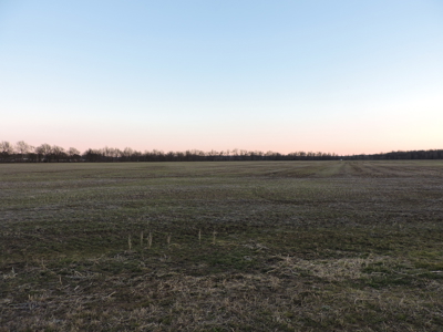 Farmland Northeast Arkansas Jonesboro - image 5