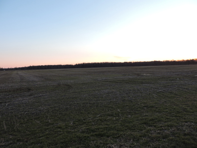 Farmland Northeast Arkansas Jonesboro - image 6