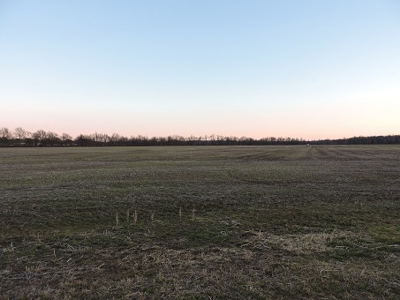 Farmland Northeast Arkansas Jonesboro - image 7