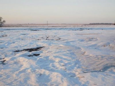 SOLD $8,025 per acre! Brookings County South Dakota - image 5