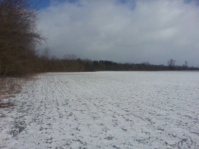 Vacant Land Auction - 8 Acre Wooded Lot - Sunbury, Ohio - image 2