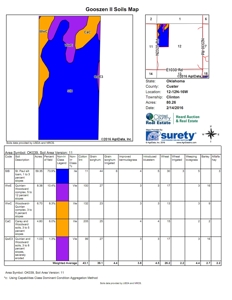 Oklahoma Farm for Sale, Custer County, Tract 1 - image 1