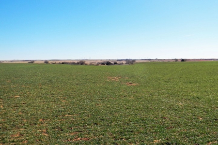 Oklahoma Farm for Sale, Custer County, Tract 1 - image 4