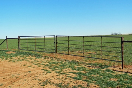 Oklahoma Farm for Sale, Custer County, Tract 1 - image 6